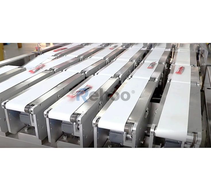 CWC-ML6 Multi-Lane Weight Checking System Product 3